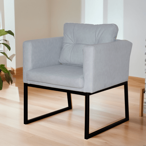 Silla Dtva Bora P/hierro Tela/plata