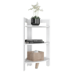 image-7fc7d9dafbd849a0abacdb16e65b11f9