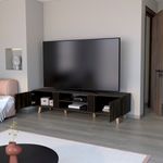image-4e3dbaf2cd8d437c87819a44295e6254