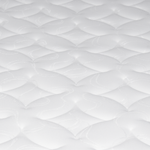 Insignia_Diseno.png