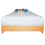 Base-cama-Tarima-Kan-303B0090